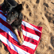 Customised Embroidered Dog's Name Large Stripped Cotton Beach Towel
