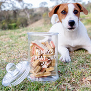 Personalised Engraved Glass Pet Treat Jar