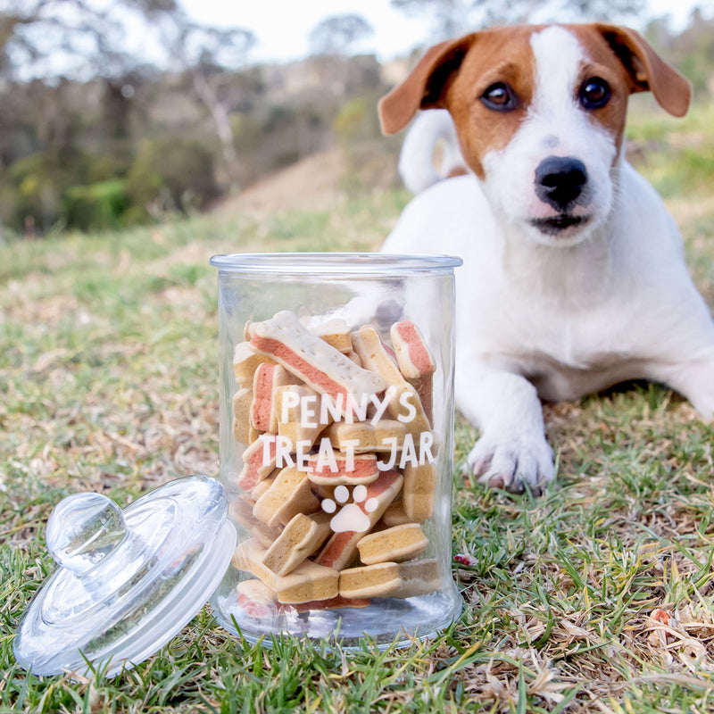 Personalised Engraved Glass Pet Treat Jar