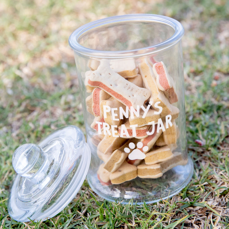 Custom Design Engraved Pet's Name Pet Treat Jar