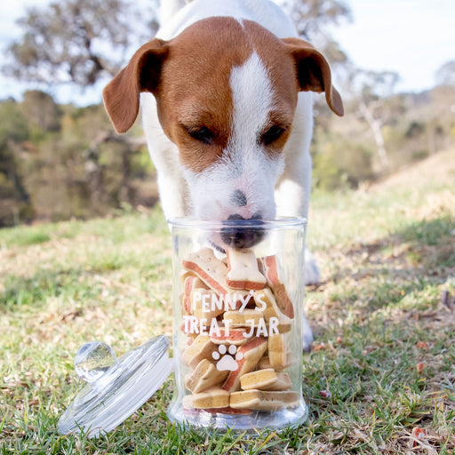 Customised Engraved Glass Jar For Pet Treats