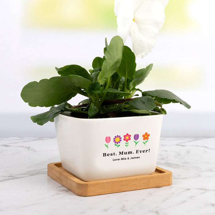 Personalised succulent planter in gift box for Mother’s Day keepsake