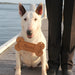 Custom designed laser cut and engraved bone shaped dog wooden sign