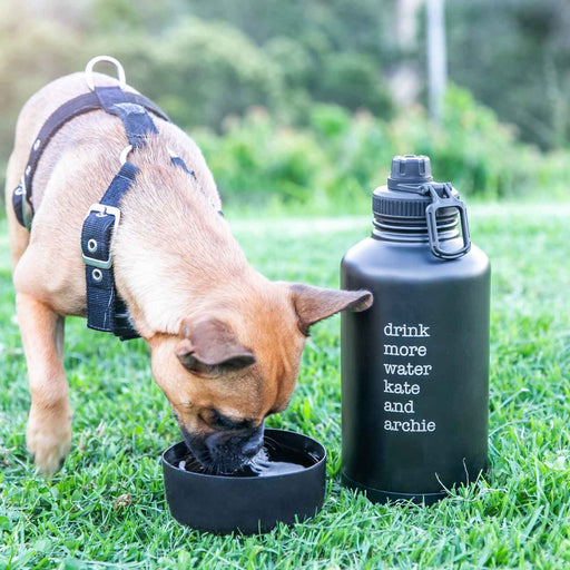 Personalised Engraved Pet Drinking Bowl and Water Bottle Christmas Gift