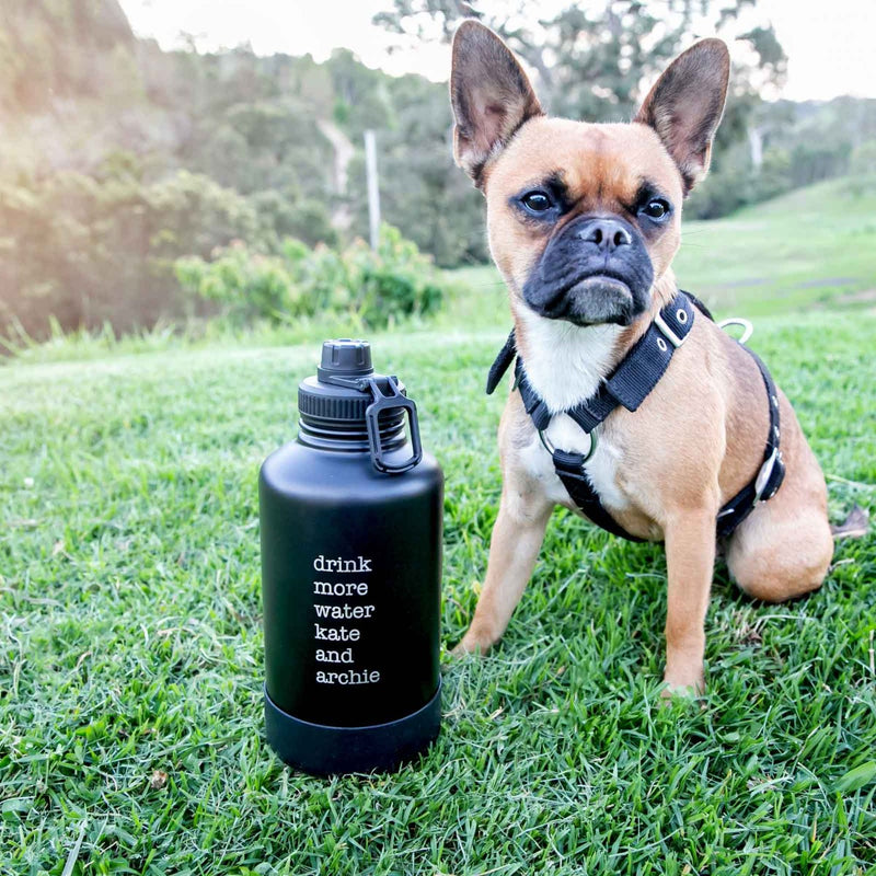 Custom Designed Engraved Portable Travel Stainless Steel Black Pet Drinking Bowl and Water Bottle Birthday Gift